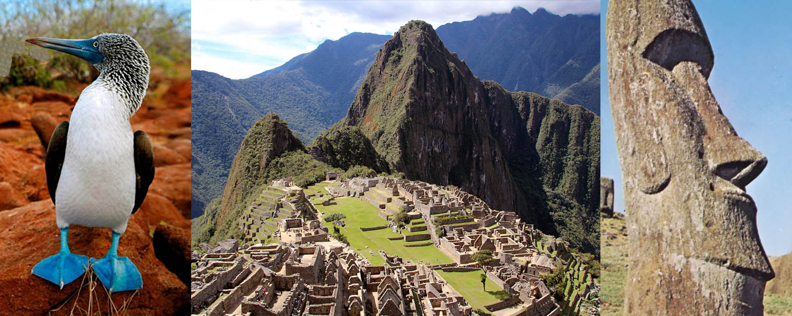 Galapagos, Machu Picchu, Nasca lines, Easter Island