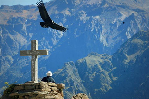 LIMA, NAZCA LINES, AREQUIPA, COLCA CANYON, CUSCO, MACHU PICCCHU, PUNO, TITICACA LAKE
