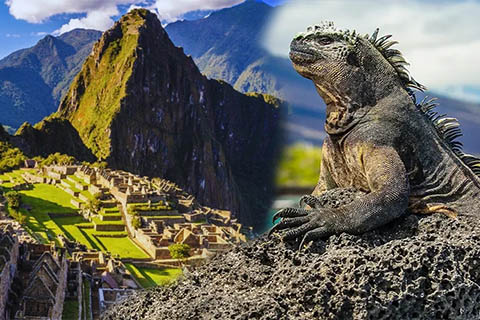 Machu Picchu and Galapagos Islands